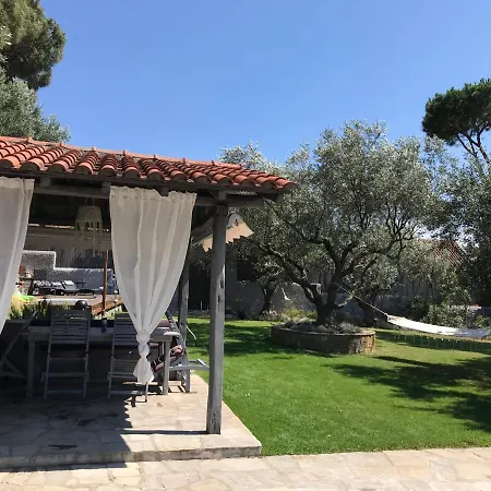Villa Sea View In Olive Garden Nea Kallikrateia