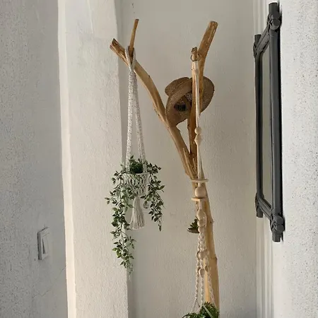 Villa Sea View In Olive Garden Nea Kallikrateia