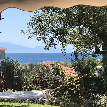 Sea View In Olive Garden * Nea Kallikrateia