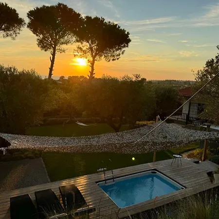 Sea View In Olive Garden Villa Nea Kallikrateia