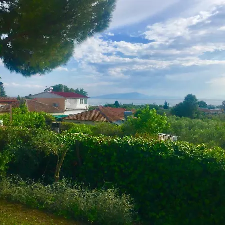 Sea View In Olive Garden Villa *