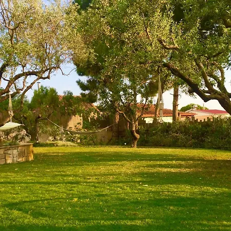 Sea View In Olive Garden Nea Kallikrateia