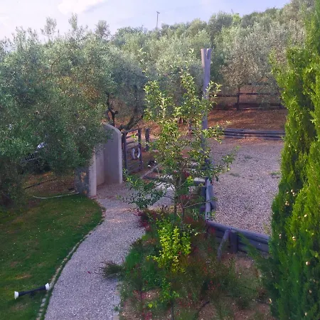 Sea View In Olive Garden Villa *