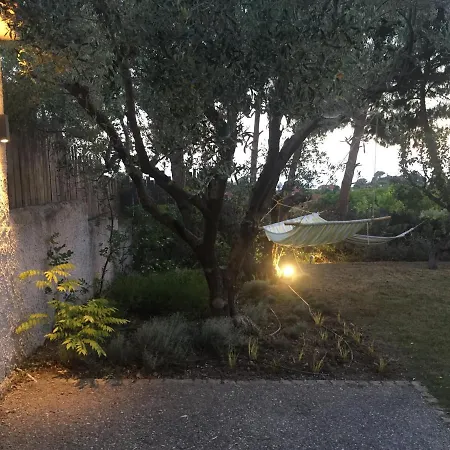 Sea View In Olive Garden *