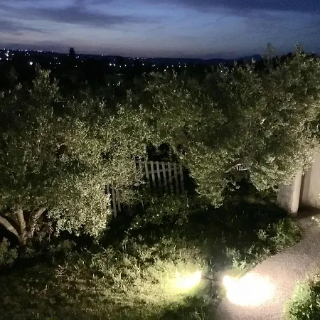 Sea View In Olive Garden Villa