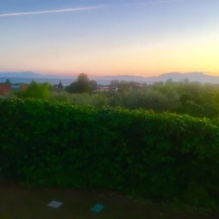 Sea View In Olive Garden