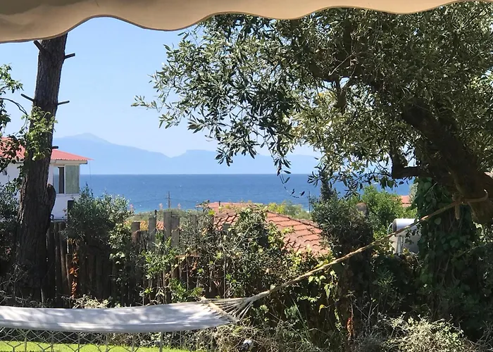Sea View In Olive Garden * Nea Kallikrateia