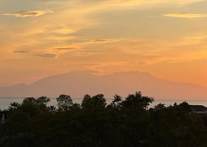 Sea View In Olive Garden