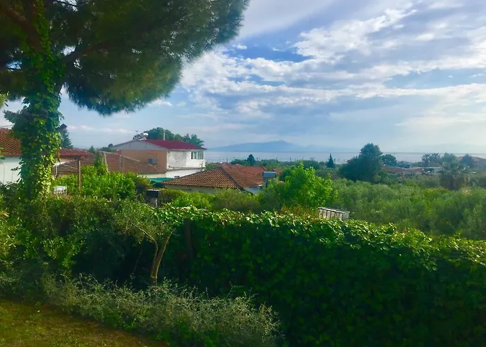 Sea View In Olive Garden فيلة *