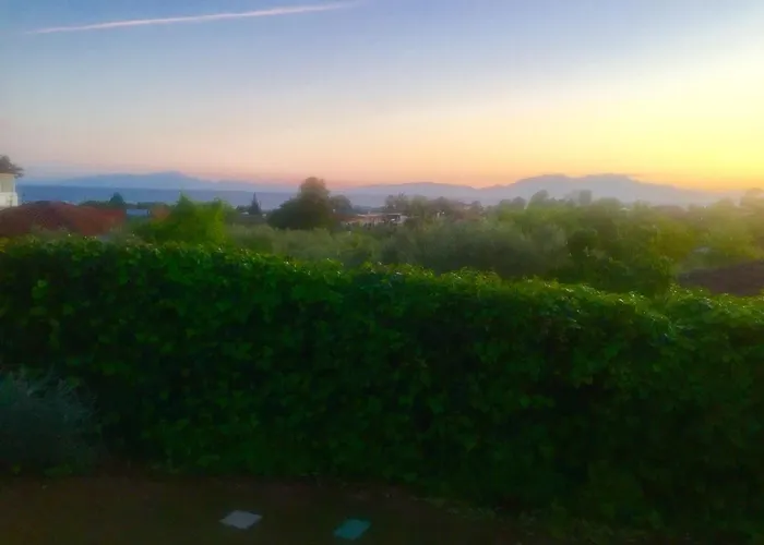 Sea View In Olive Garden